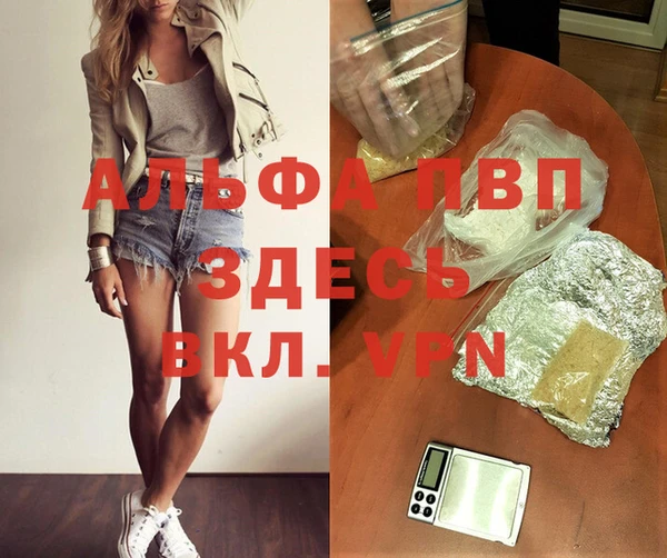 ПСИЛОЦИБИНОВЫЕ ГРИБЫ Вяземский