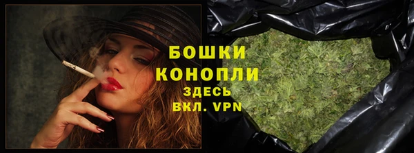 ПСИЛОЦИБИНОВЫЕ ГРИБЫ Вяземский