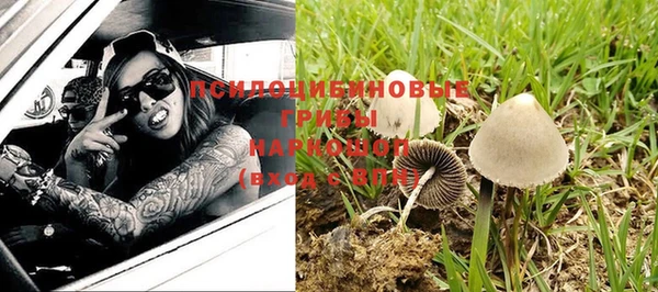 ПСИЛОЦИБИНОВЫЕ ГРИБЫ Вяземский