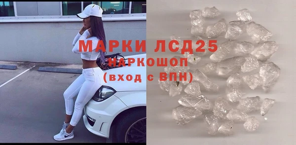 ПСИЛОЦИБИНОВЫЕ ГРИБЫ Вяземский