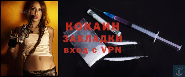 ПСИЛОЦИБИНОВЫЕ ГРИБЫ Вяземский
