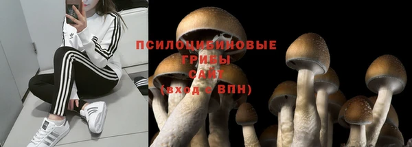 прущий лед Вязники