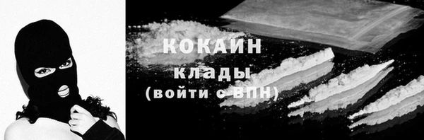 ПСИЛОЦИБИНОВЫЕ ГРИБЫ Вяземский