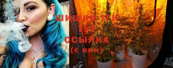 дмт Вязьма