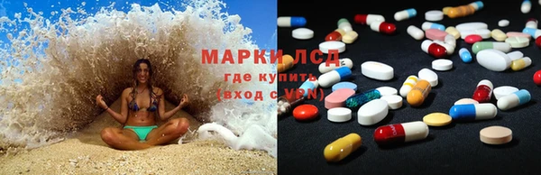 ПСИЛОЦИБИНОВЫЕ ГРИБЫ Вяземский