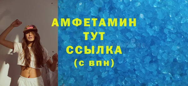 ПСИЛОЦИБИНОВЫЕ ГРИБЫ Вяземский