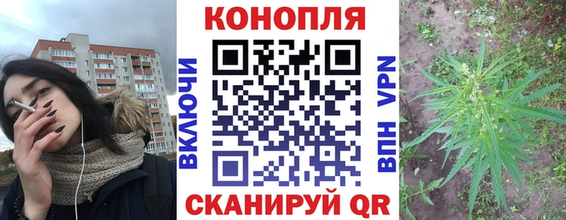Конопля MAZAR Аркадак